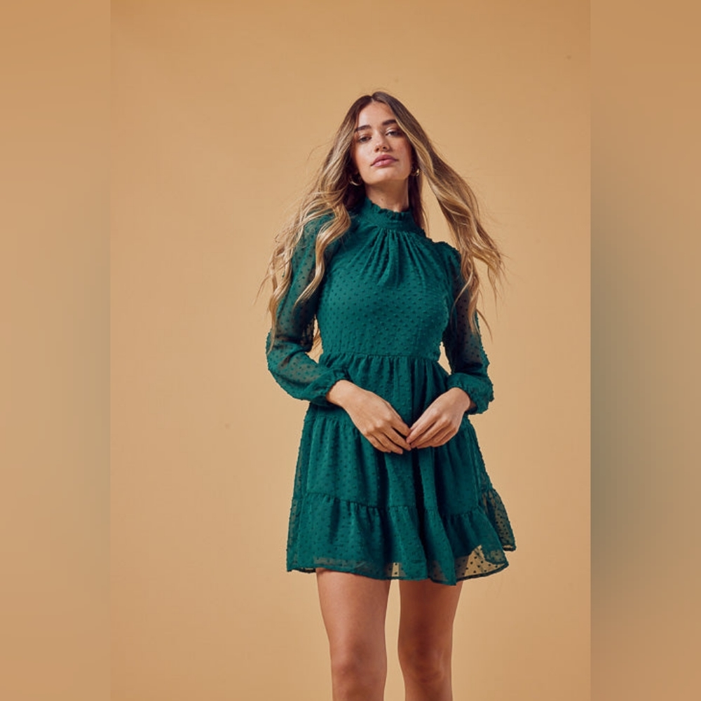 NWT TRIXXI Forest Dot Long Sleeve Dress